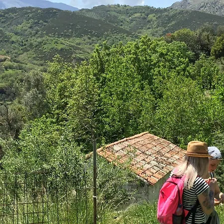 Aravanes * Thronos